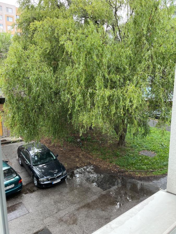 Apartman Free Wifi - Urban Oasis *